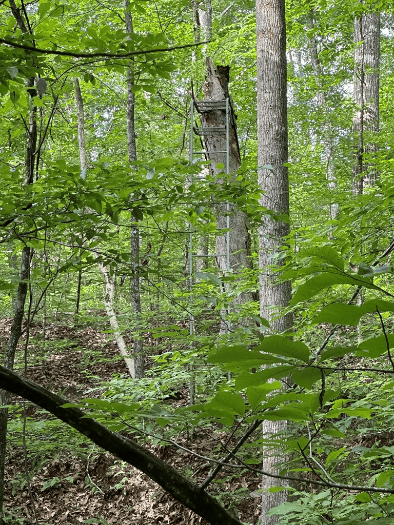 Ultimate Seclusion at The Honey Hole, Lunenburg County, VA