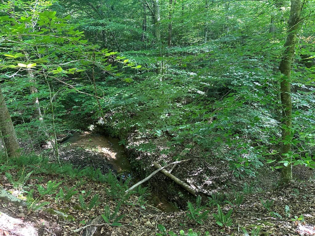 Ultimate Seclusion at The Honey Hole, Lunenburg County, VA