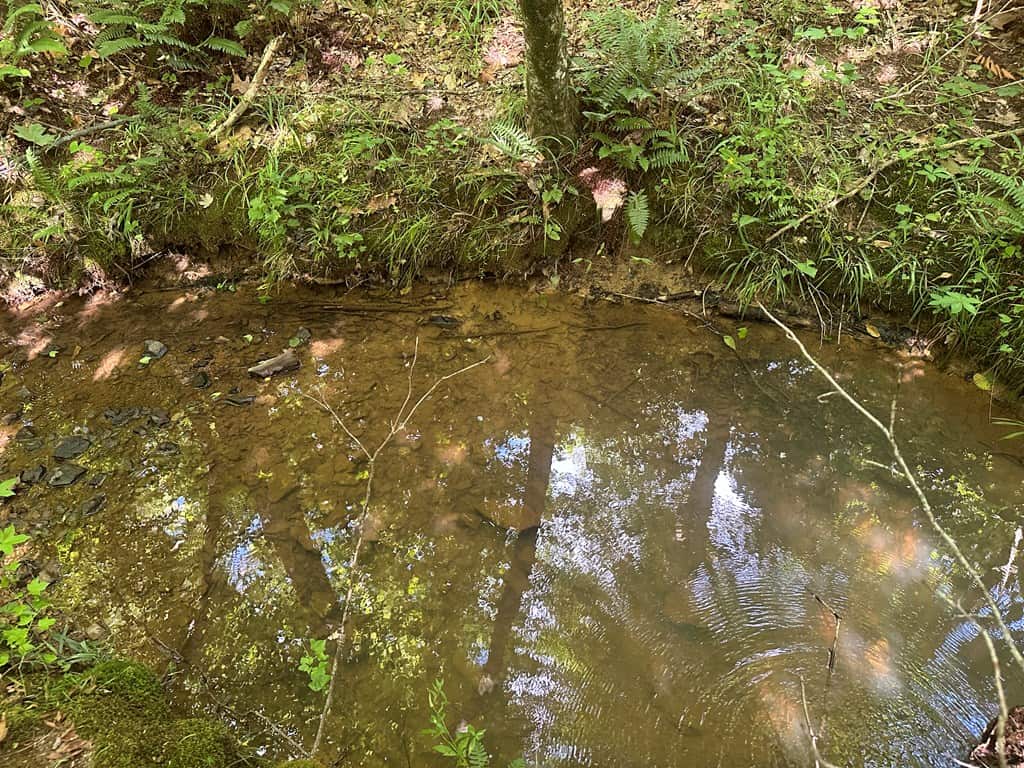 Ultimate Seclusion at The Honey Hole, Lunenburg County, VA