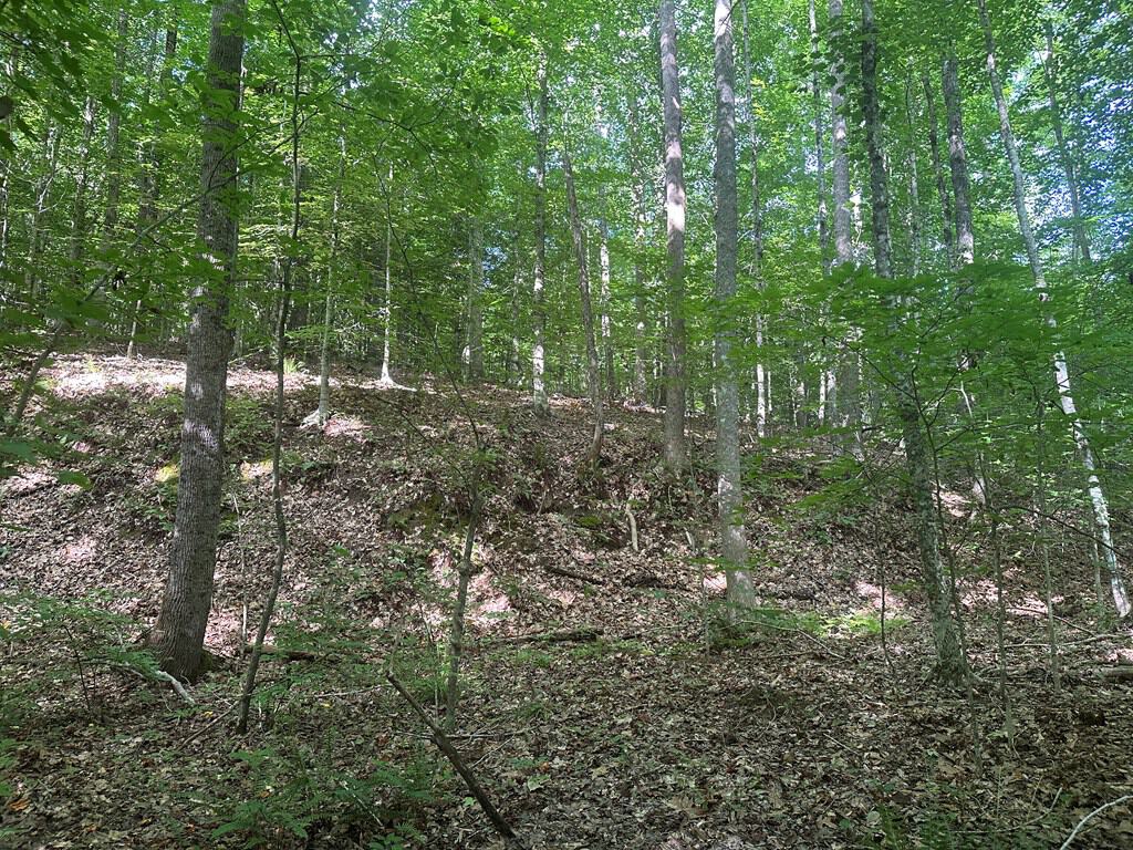 Ultimate Seclusion at The Honey Hole, Lunenburg County, VA