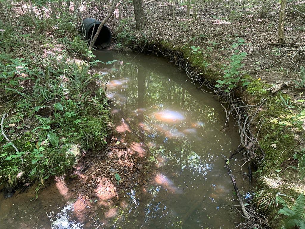 Ultimate Seclusion at The Honey Hole, Lunenburg County, VA