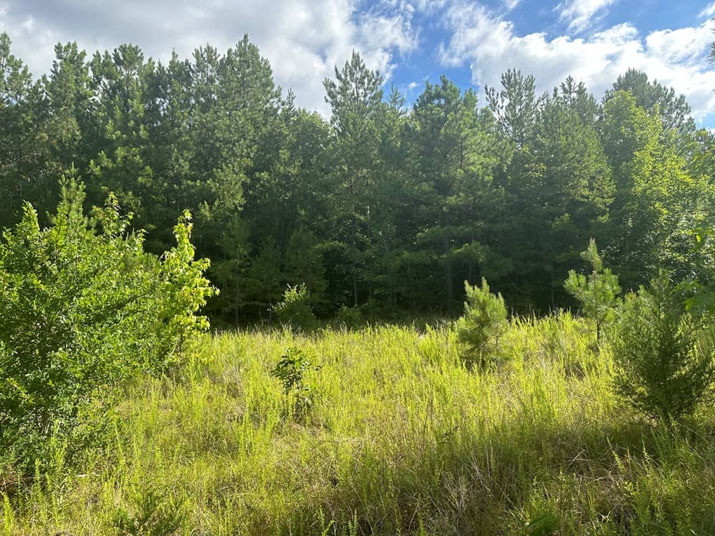 Ultimate Seclusion at The Honey Hole, Lunenburg County, VA