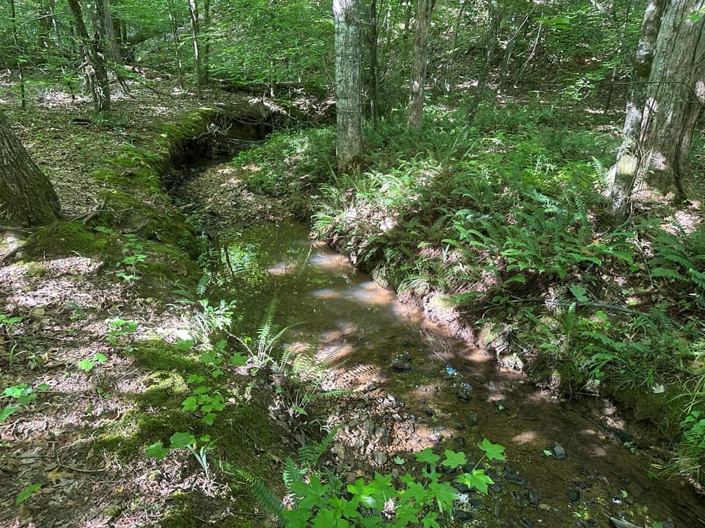Ultimate Seclusion at The Honey Hole, Lunenburg County, VA