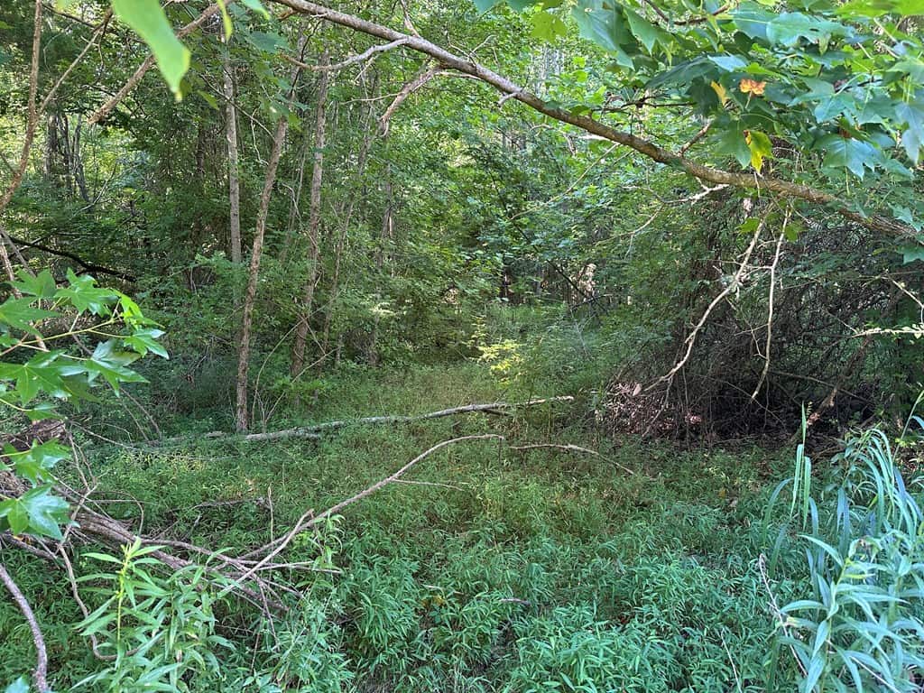 Ultimate Seclusion at The Honey Hole, Lunenburg County, VA