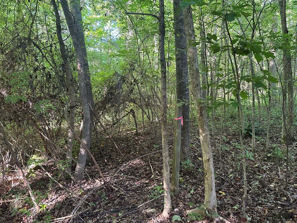 Ultimate Seclusion at The Honey Hole, Lunenburg County, VA