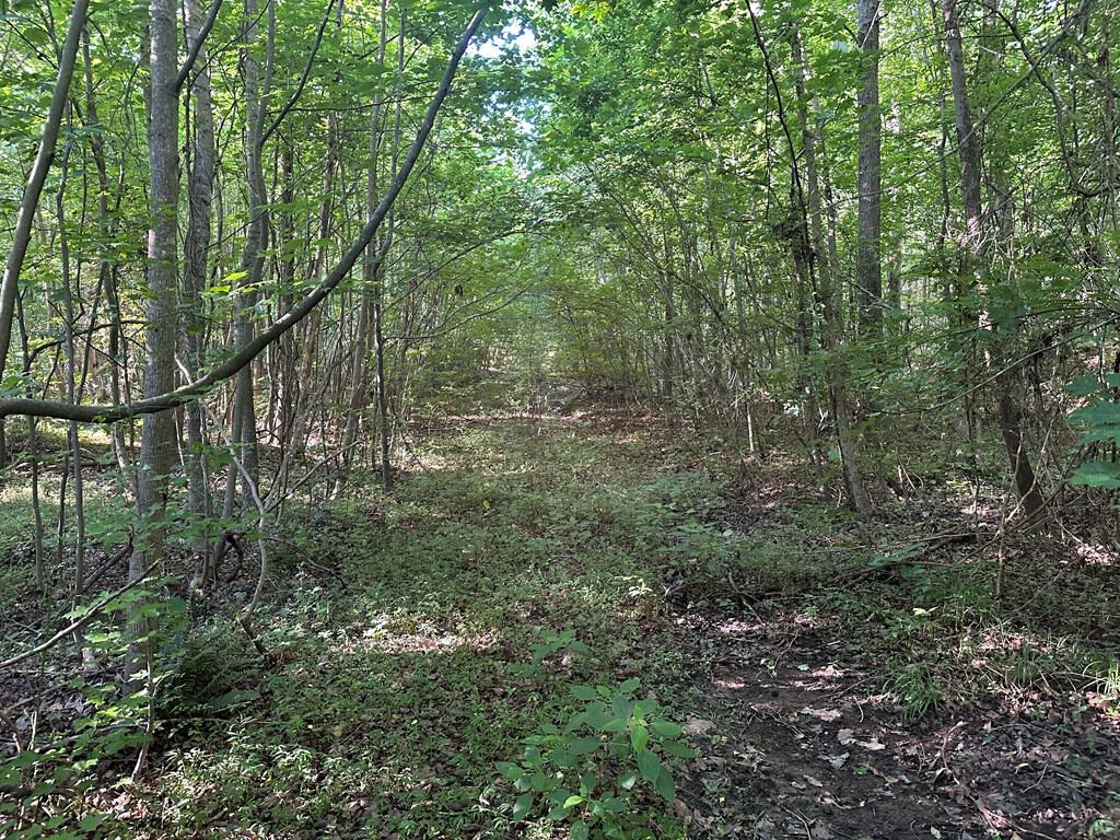 Ultimate Seclusion at The Honey Hole, Lunenburg County, VA