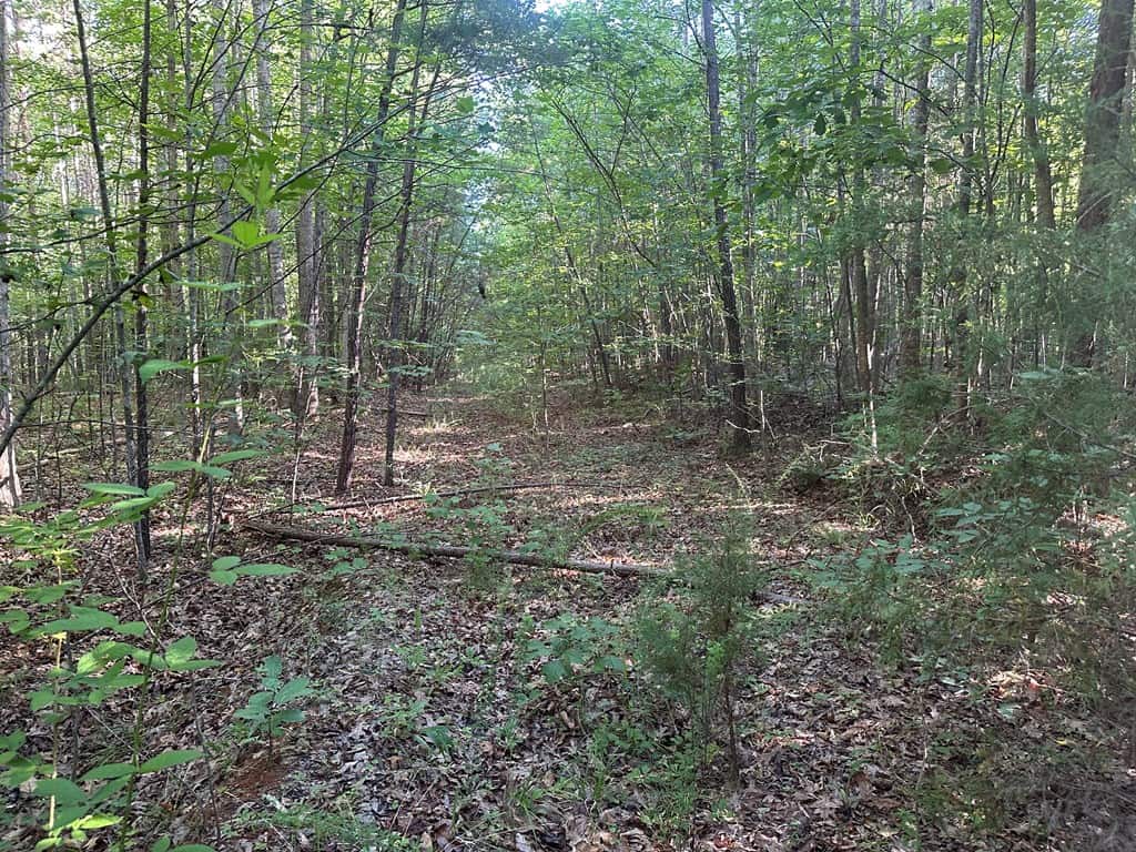 Ultimate Seclusion at The Honey Hole, Lunenburg County, VA