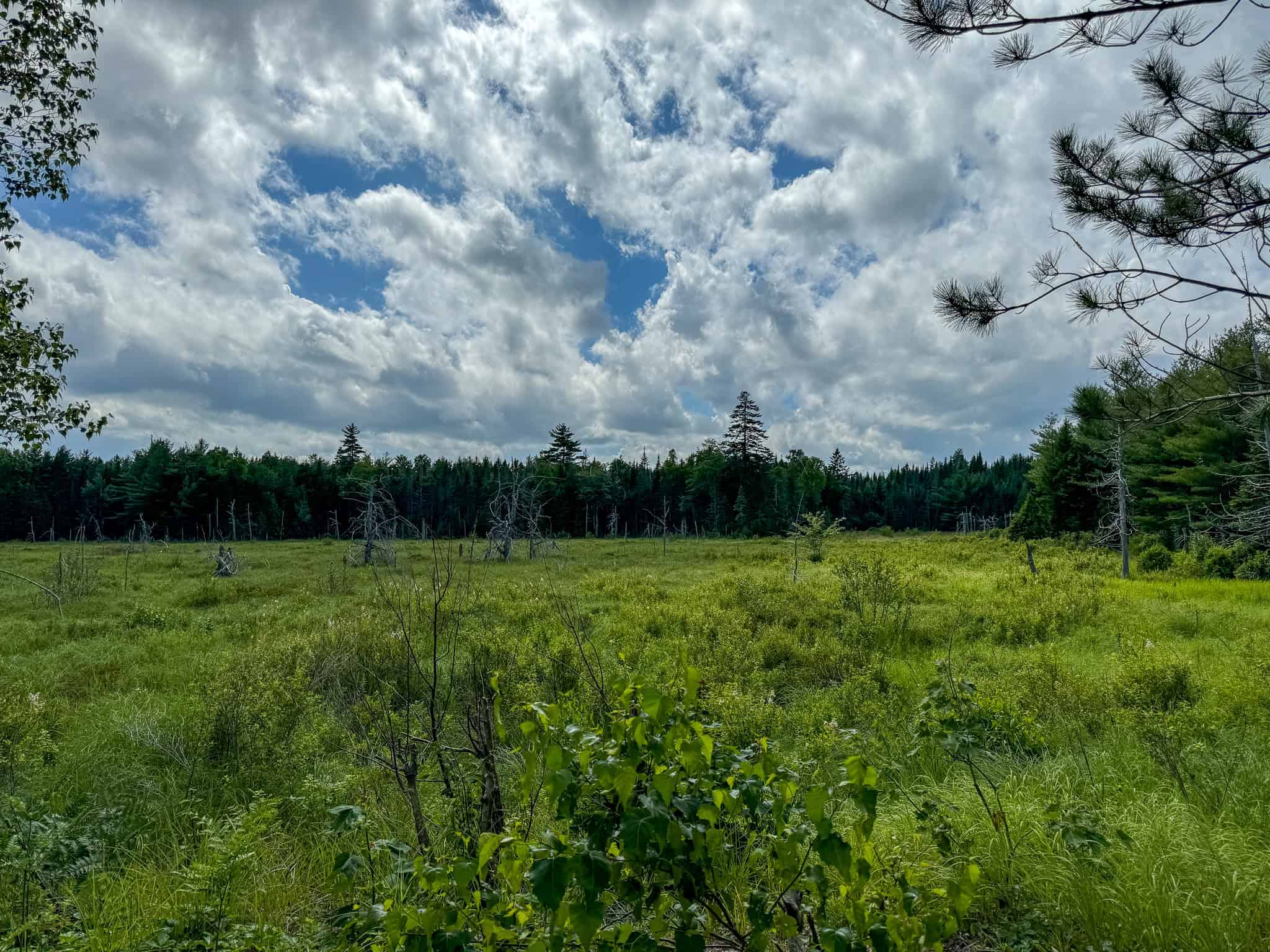 330 Acre Parcel with Waterfront