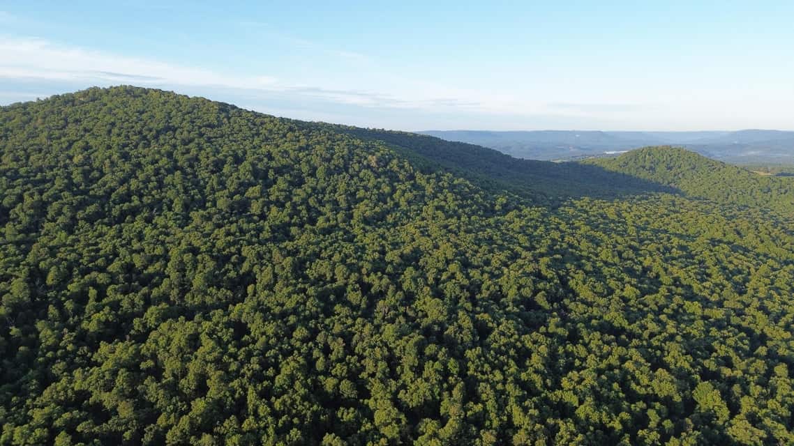 Crooked Creek on 320 Ac Hunting Land For Sale in Newton County, Arkansas