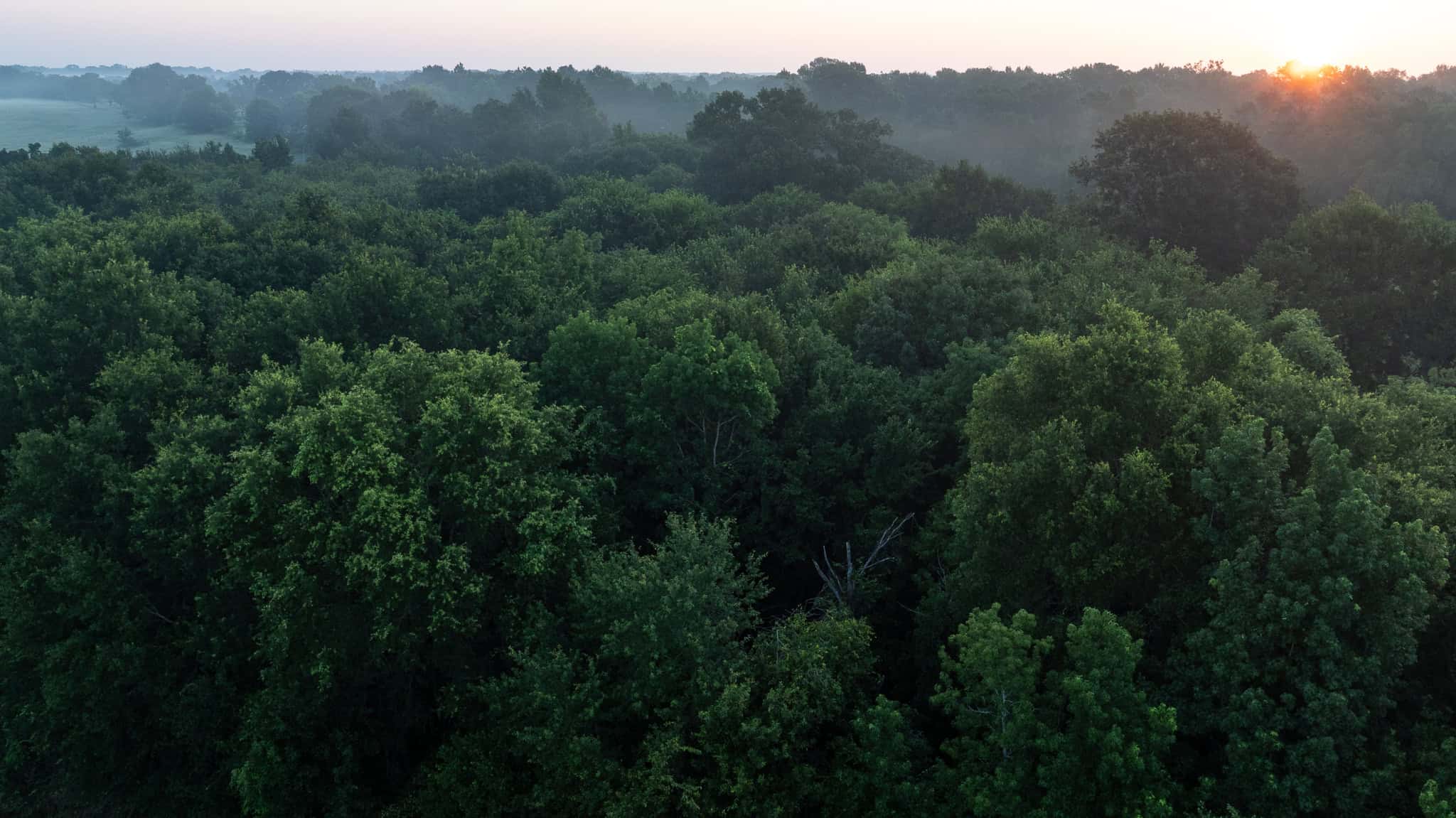 SOLD! Texas Duck Hunting Property with Log Home East of Dallas