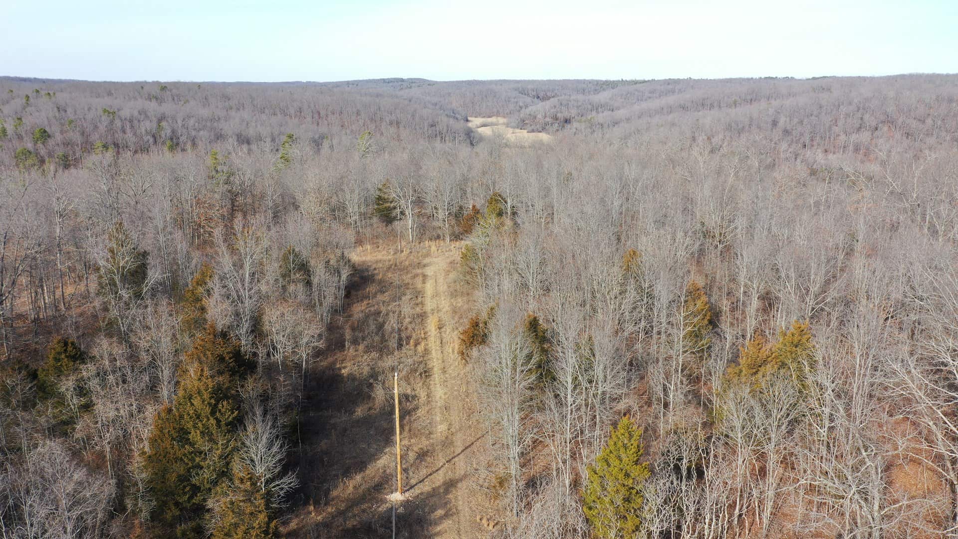 117.7 Acres Nestled on the Dent & Shannon County Line, Missouri