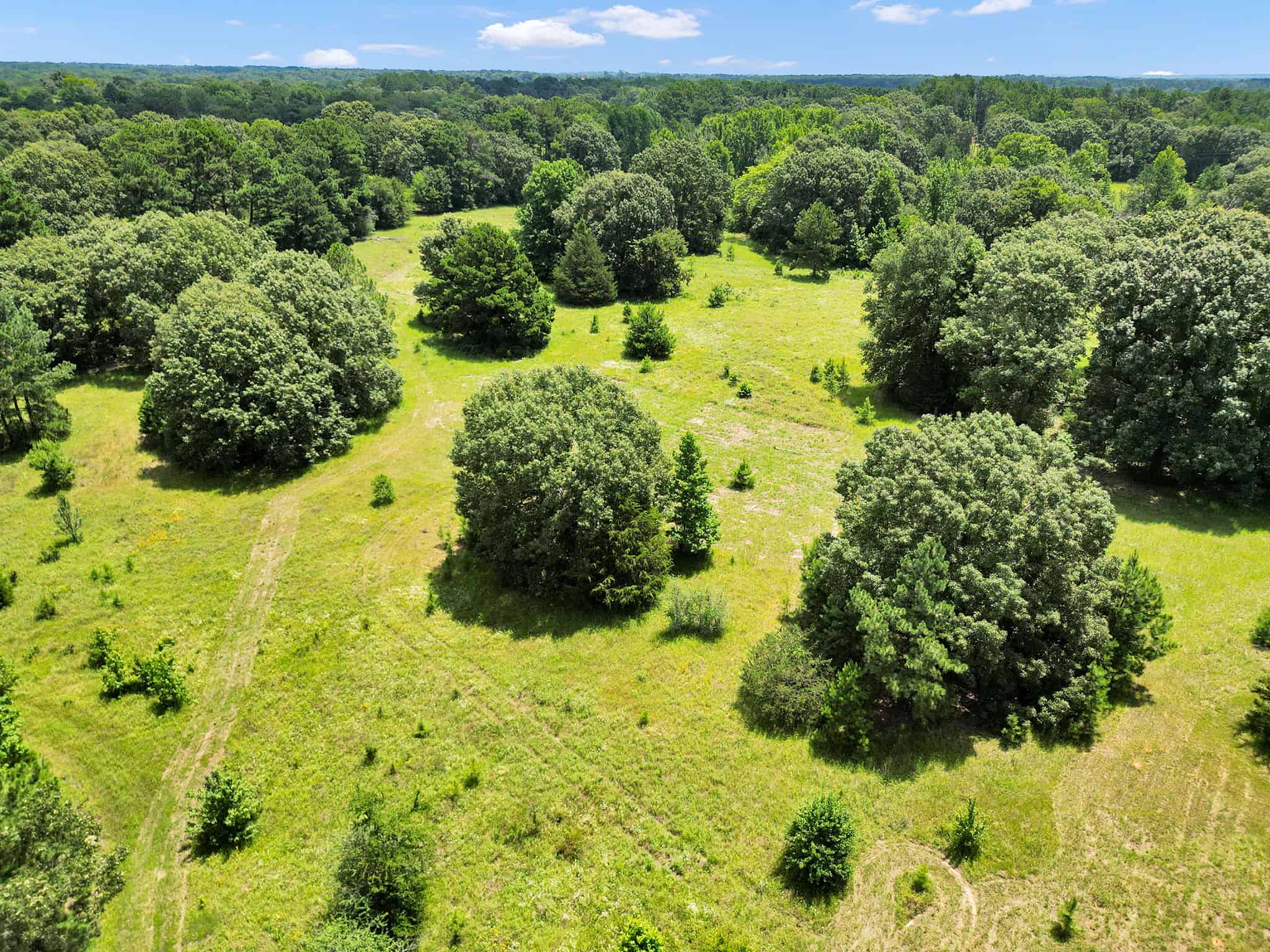 SOLD! Texas Hunting Property East of Dallas Near Lake Fork