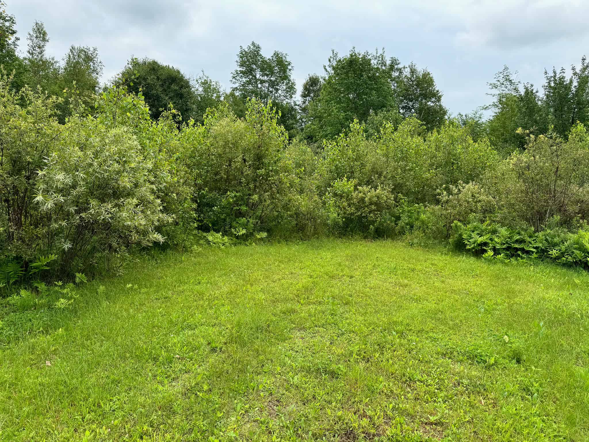 Acreage with Water Access