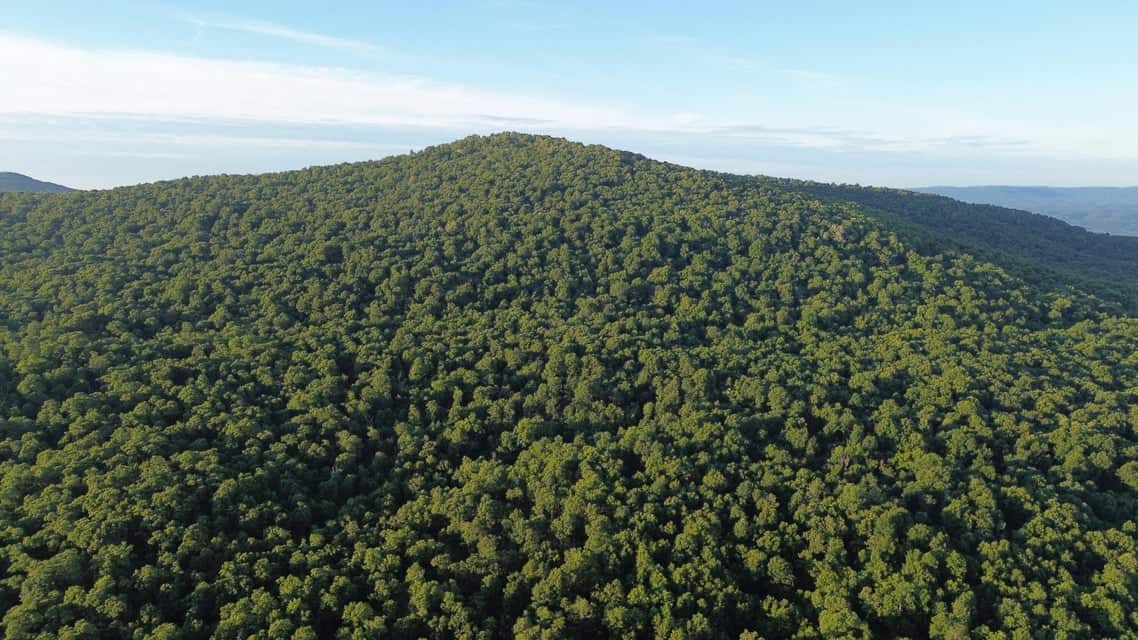 Crooked Creek on 320 Ac Hunting Land For Sale in Newton County, Arkansas