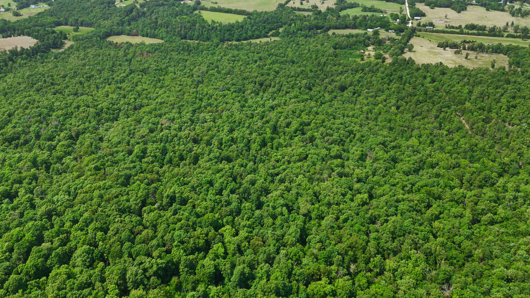Crooked Creek on 320 Ac Hunting Land For Sale in Newton County, Arkansas