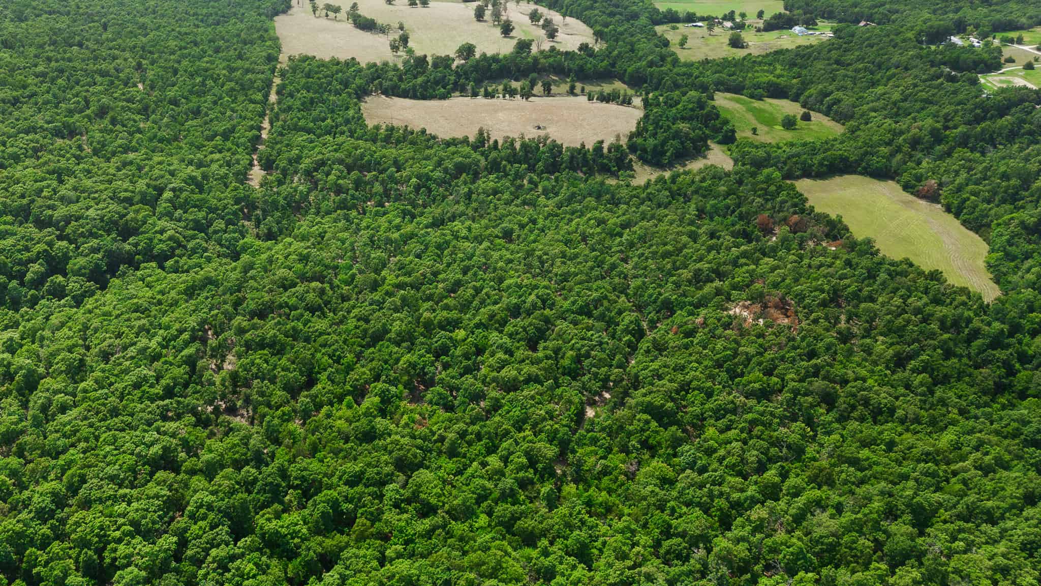 Crooked Creek on 320 Ac Hunting Land For Sale in Newton County, Arkansas