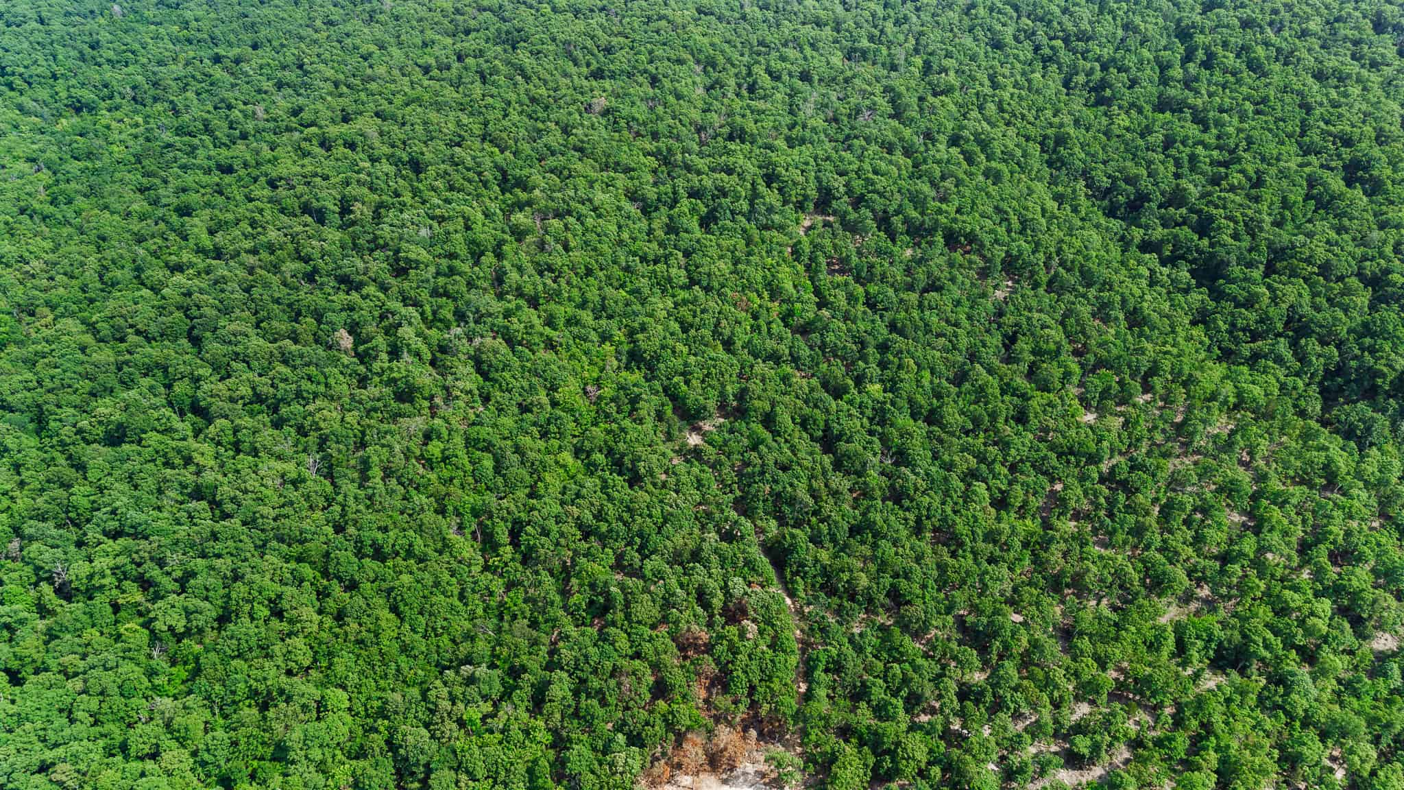 Crooked Creek on 320 Ac Hunting Land For Sale in Newton County, Arkansas