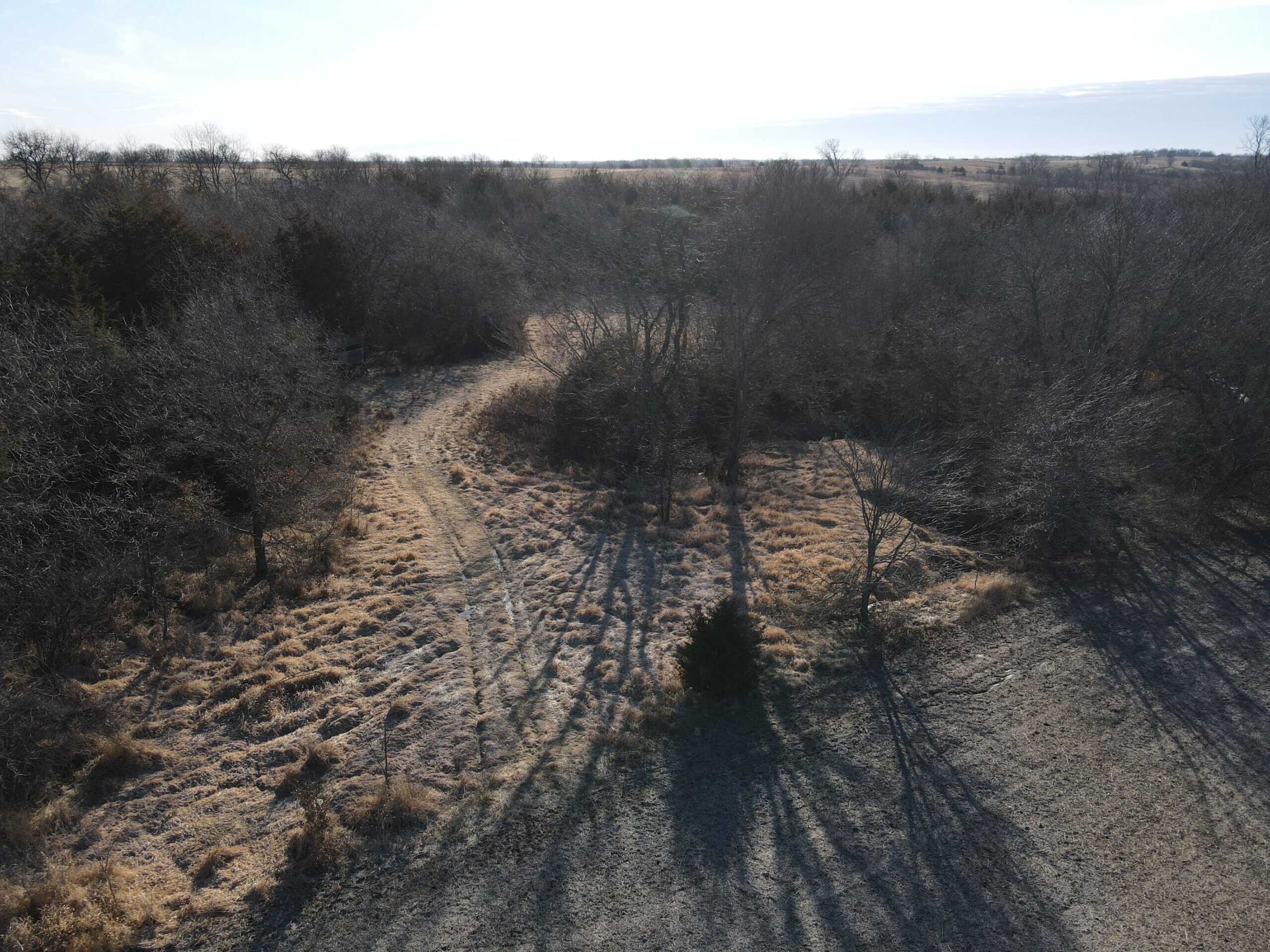 Northern MO Dynamite Hunting with Income