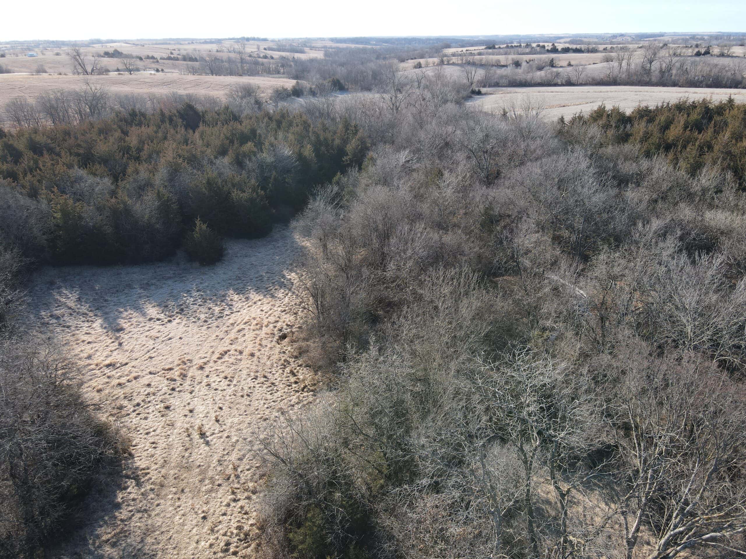 Northern MO Dynamite Hunting with Income