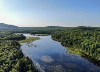 Large Year Round Accessible Maine Parcel