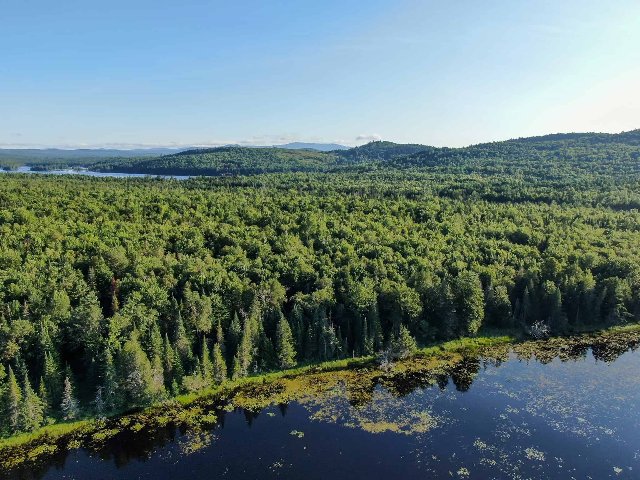Large Year Round Accessible Maine Parcel