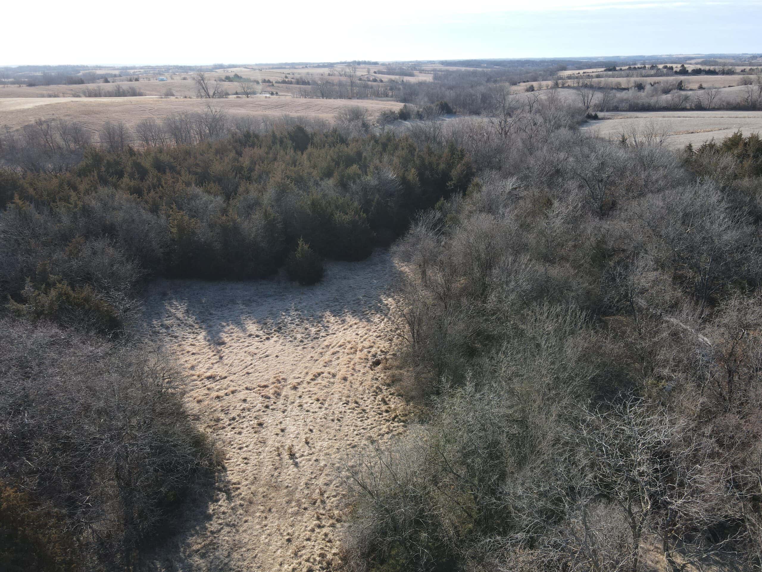 Northern MO Dynamite Hunting with Income