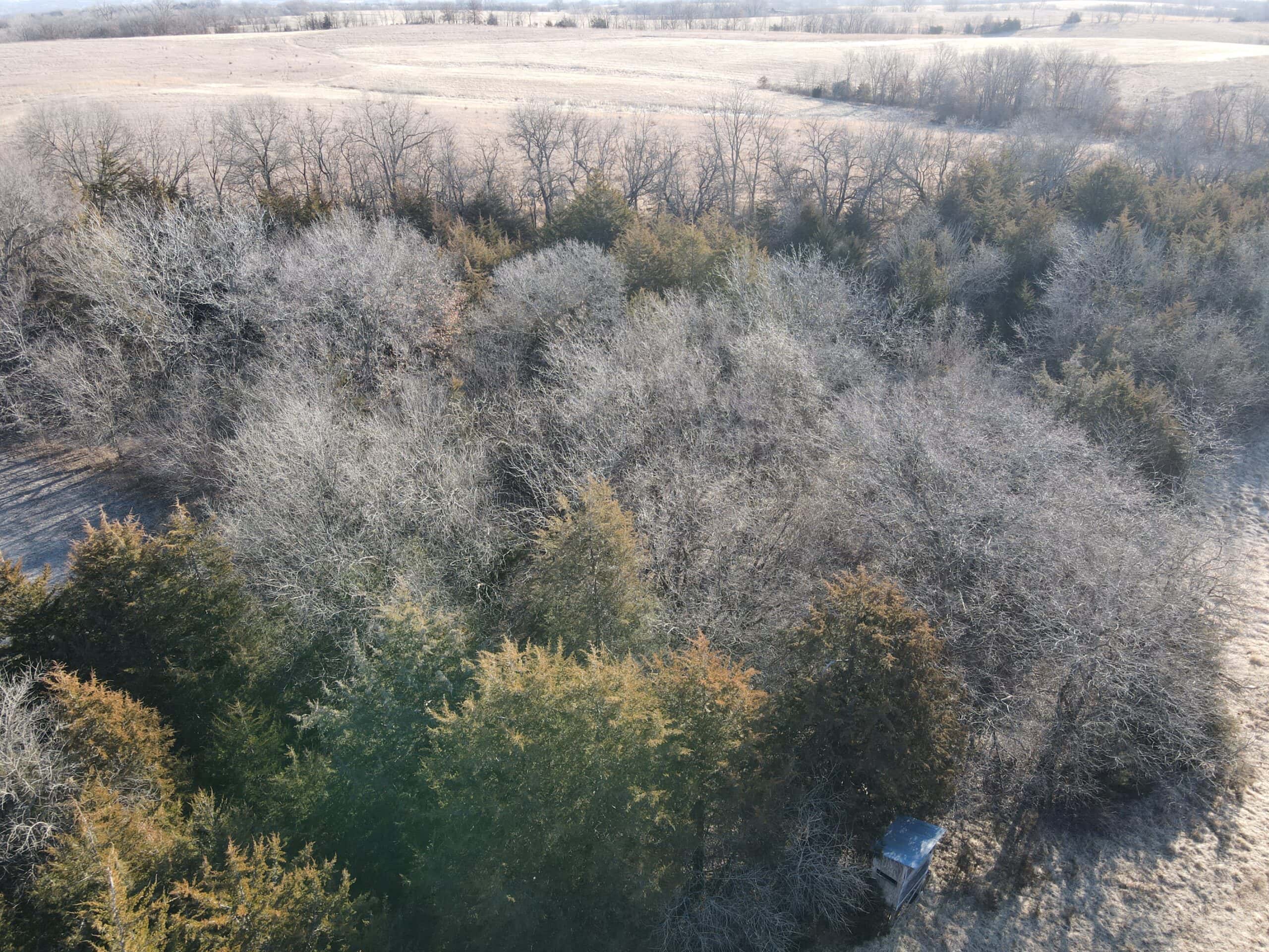 Northern MO Dynamite Hunting with Income