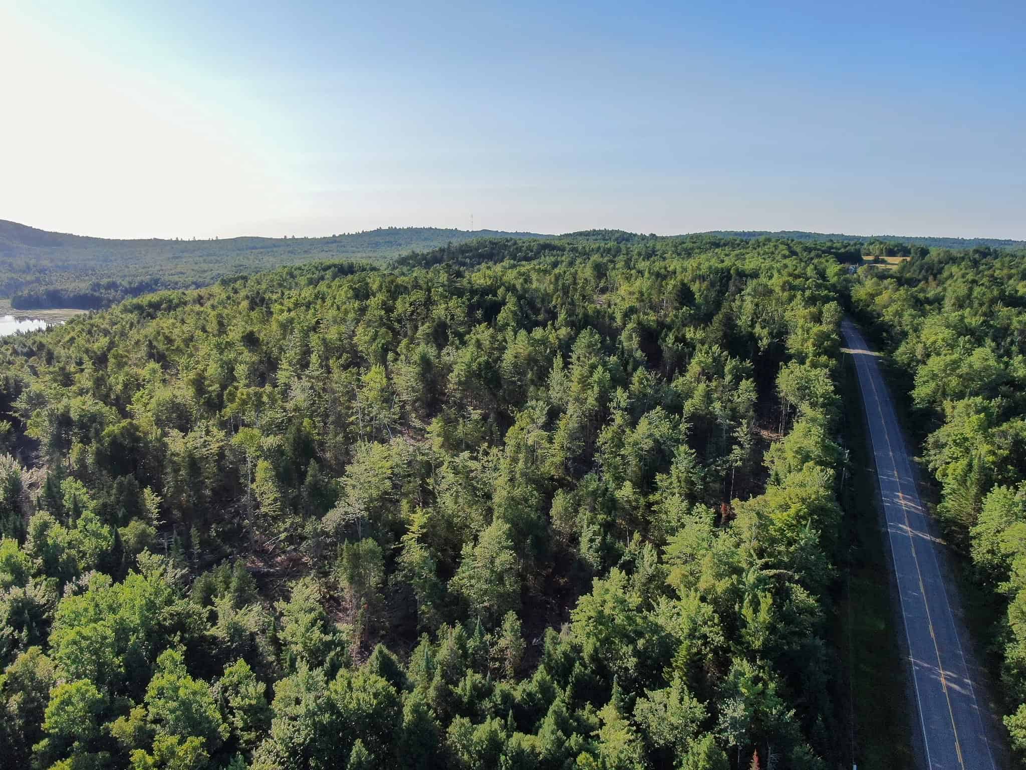 Large Year Round Accessible Maine Parcel