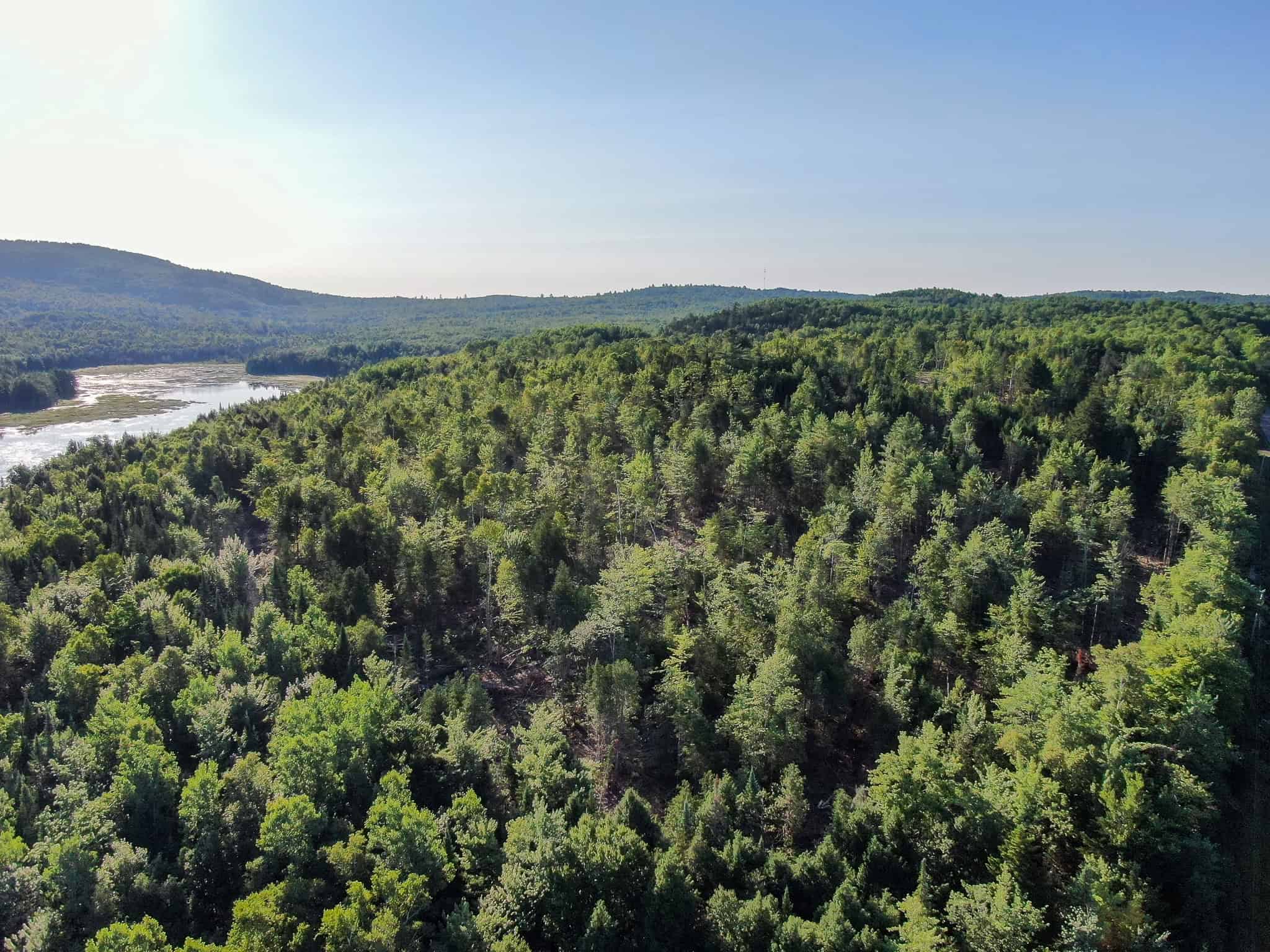 Large Year Round Accessible Maine Parcel