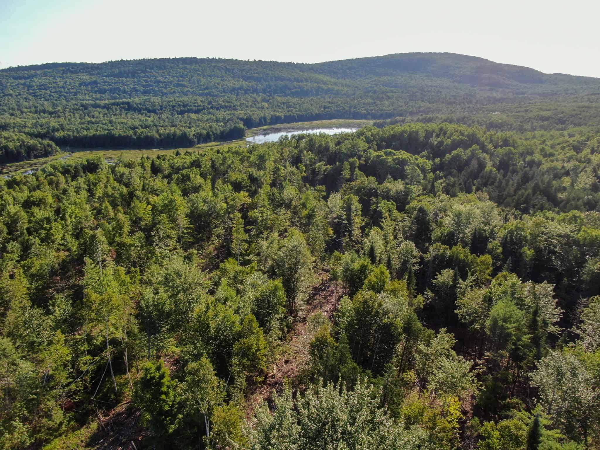 Large Year Round Accessible Maine Parcel