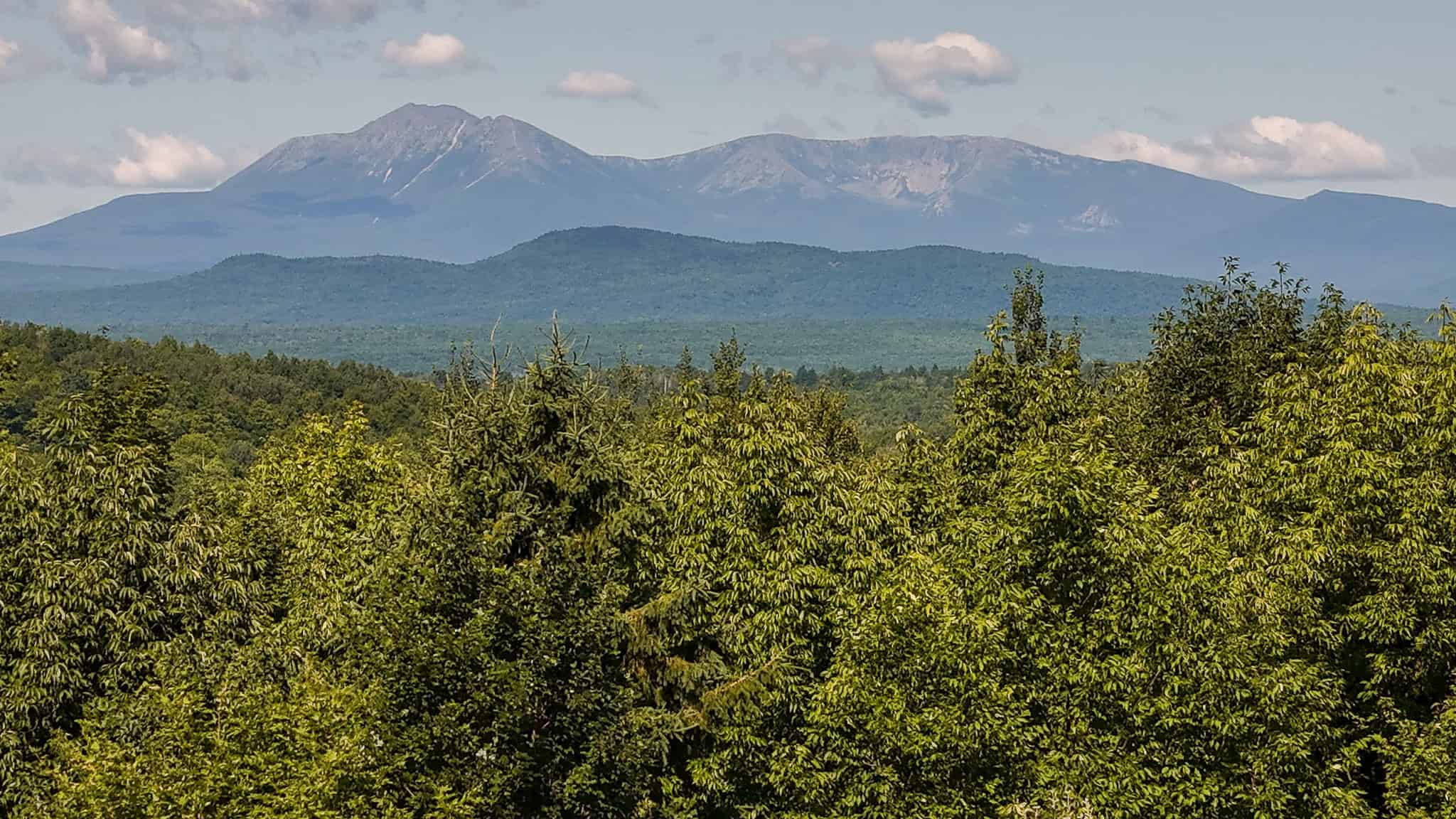 42.3 Acres of Maine Land