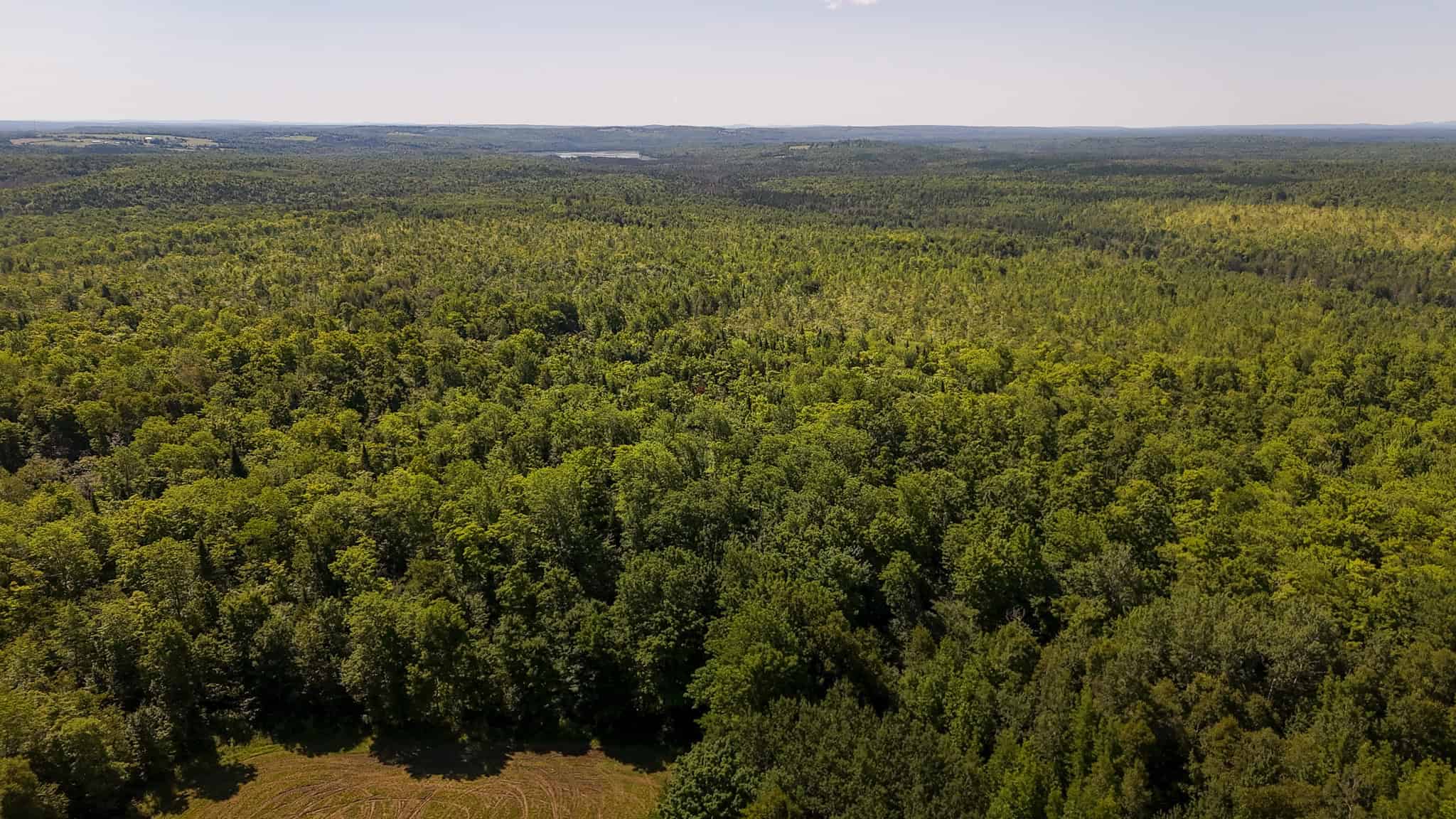 42.3 Acres of Maine Land