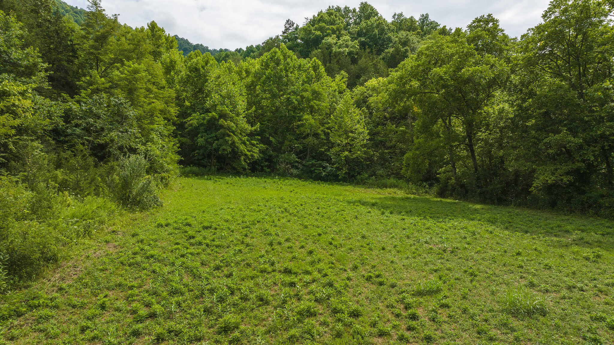 For Sale: Unrestricted Mountain Paradise in Eidson, Hawkins County, TN