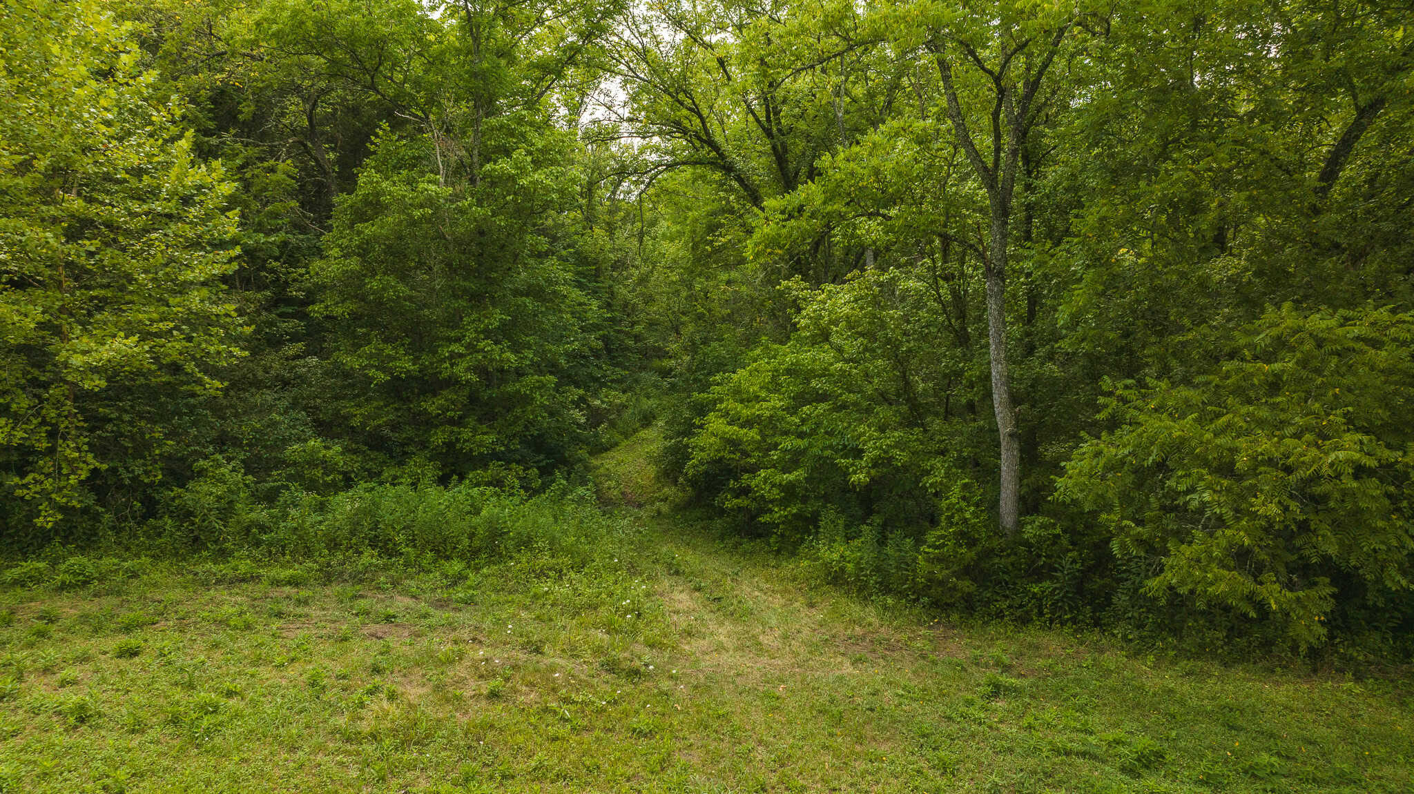 For Sale: Unrestricted Mountain Paradise in Eidson, Hawkins County, TN