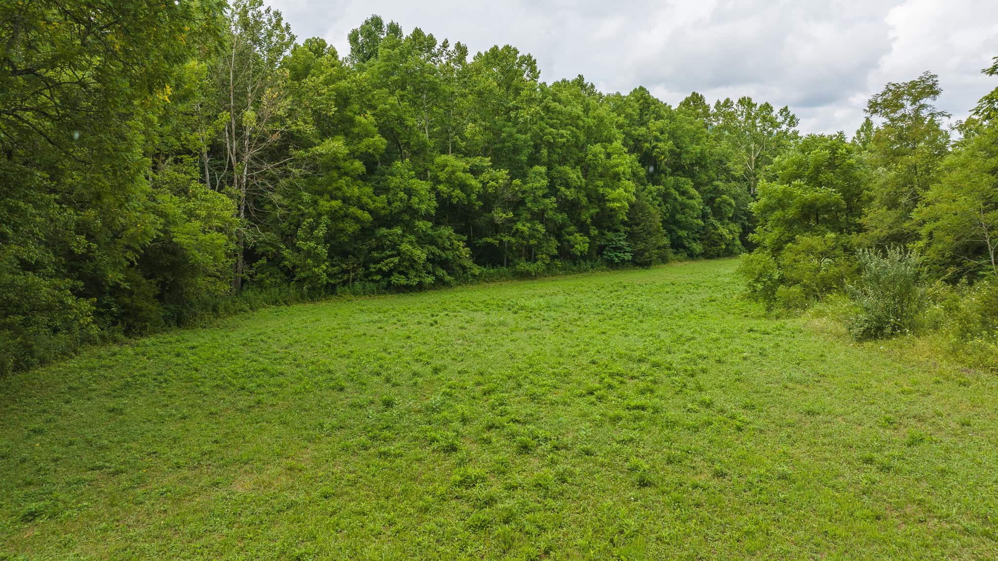 For Sale: Unrestricted Mountain Paradise in Eidson, Hawkins County, TN