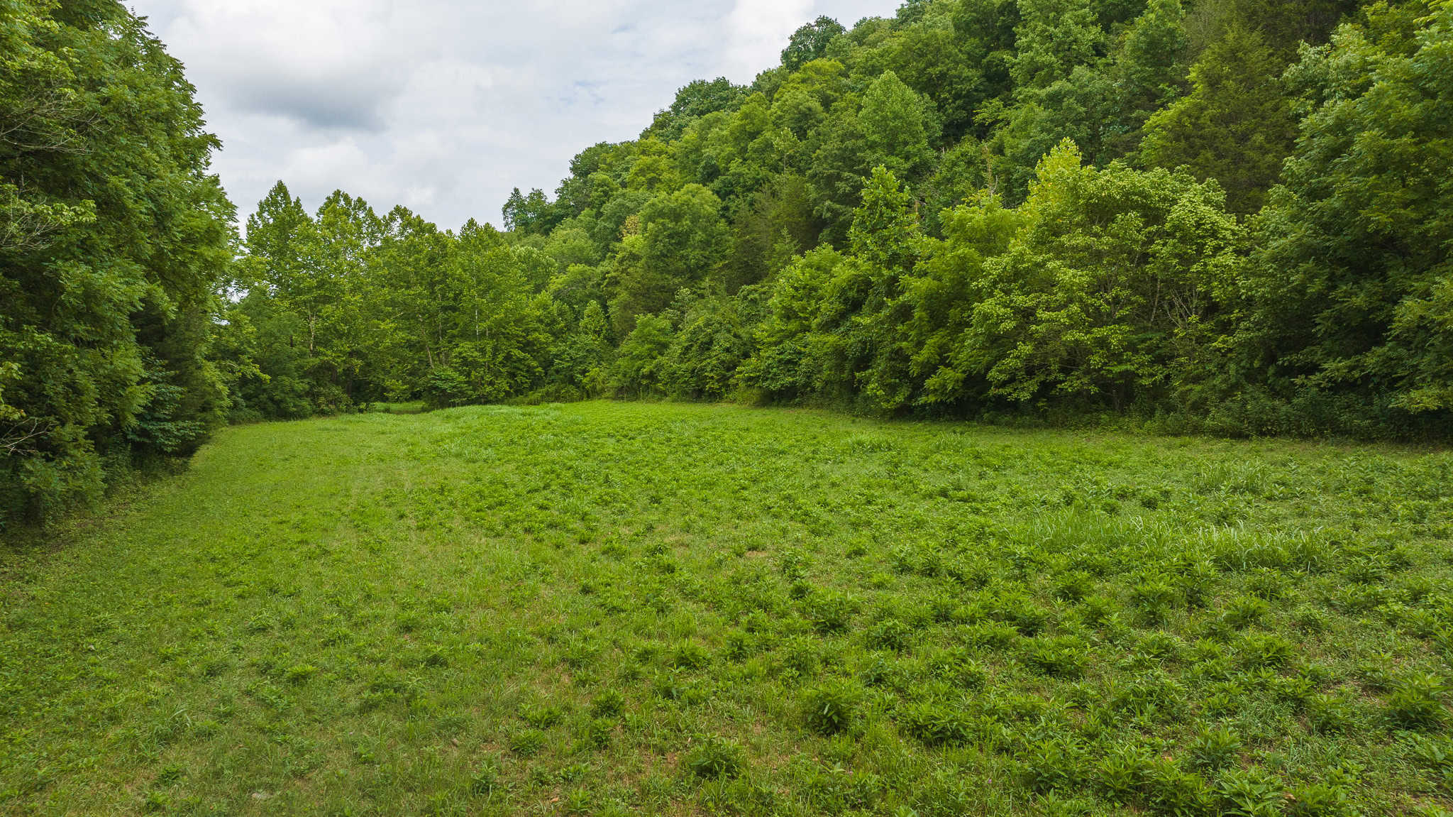 For Sale: Unrestricted Mountain Paradise in Eidson, Hawkins County, TN