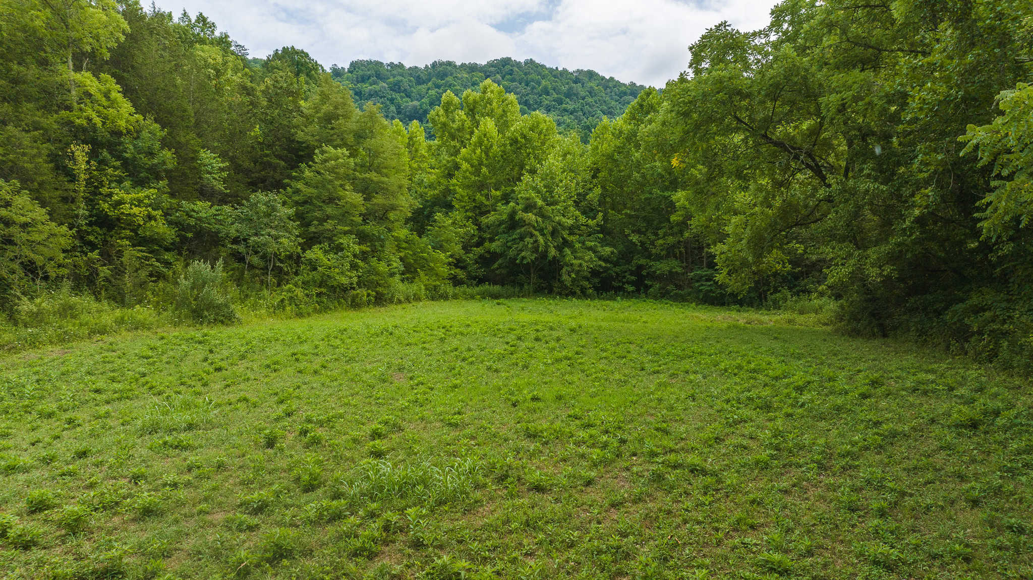 For Sale: Unrestricted Mountain Paradise in Eidson, Hawkins County, TN