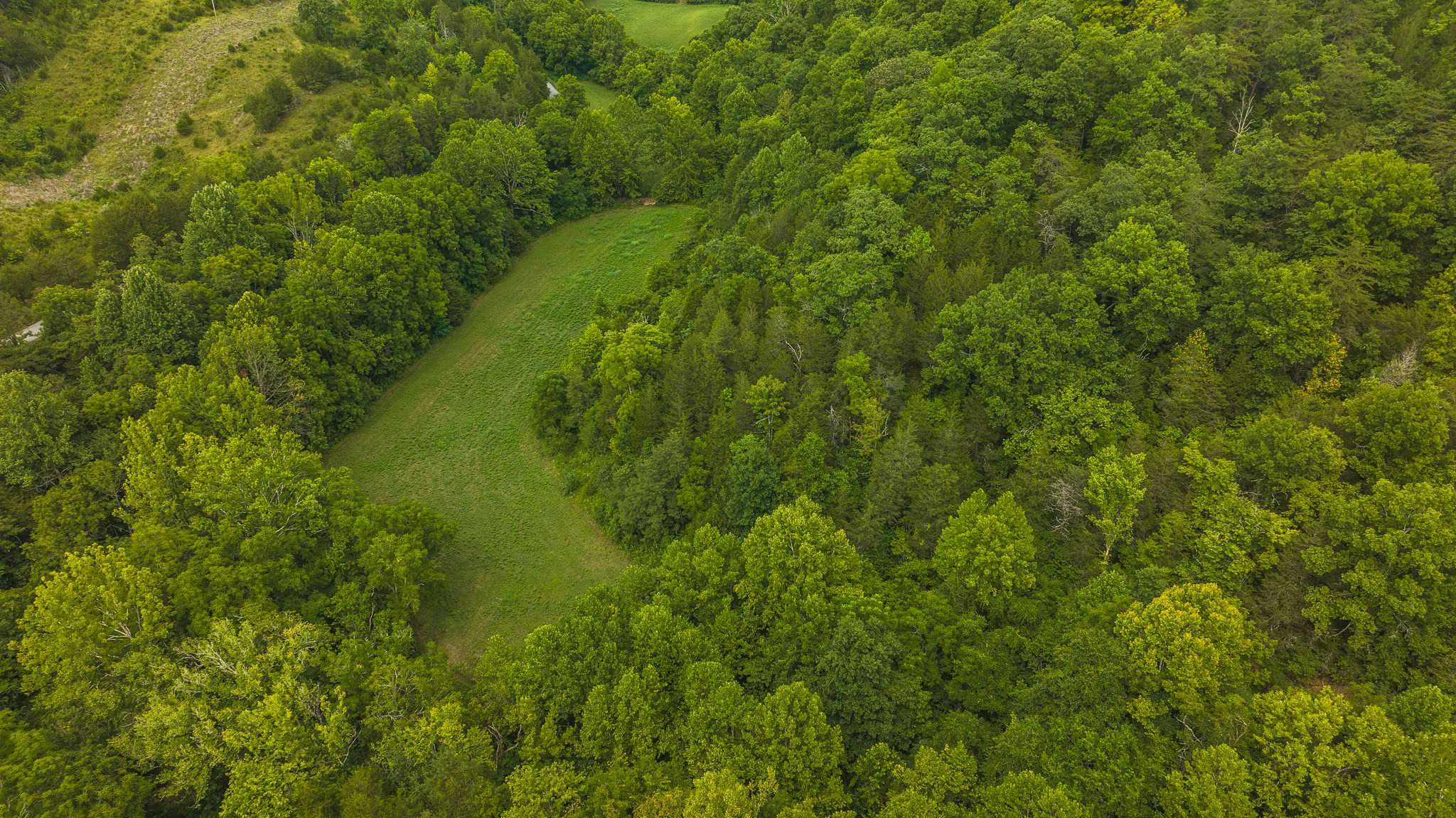 For Sale: Unrestricted Mountain Paradise in Eidson, Hawkins County, TN