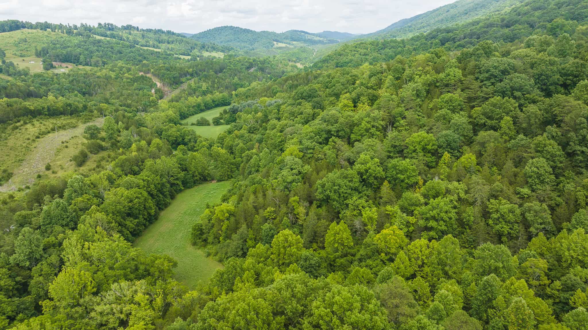 For Sale: Unrestricted Mountain Paradise in Eidson, Hawkins County, TN