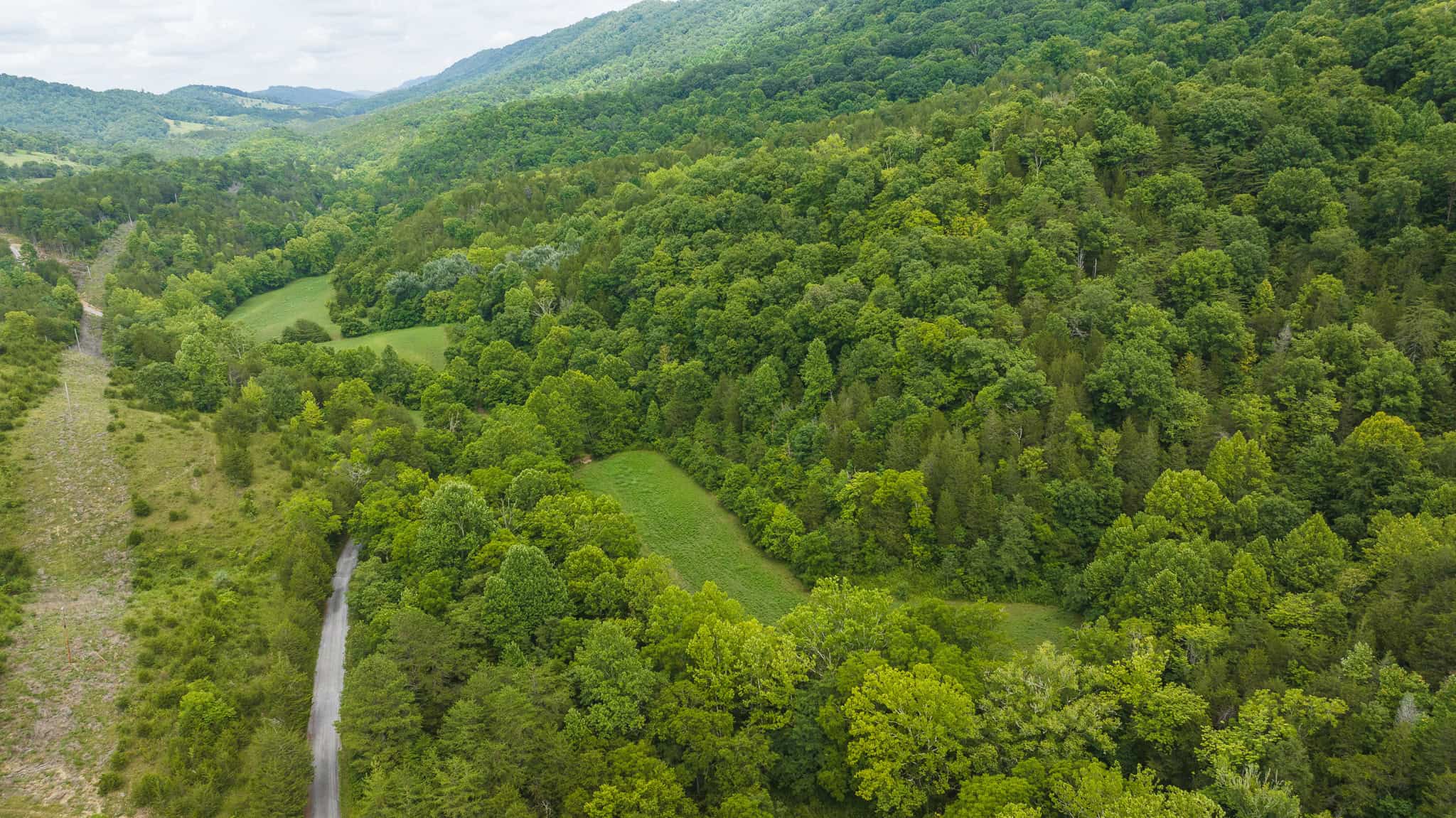 For Sale: Unrestricted Mountain Paradise in Eidson, Hawkins County, TN