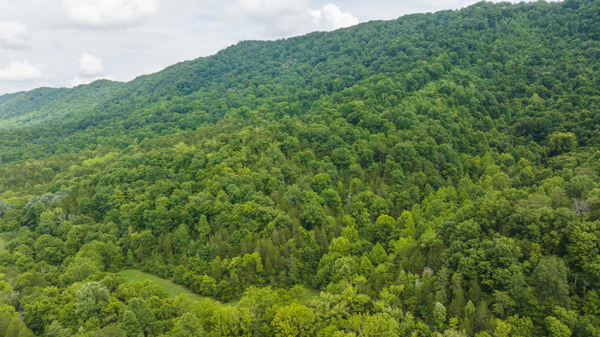 For Sale: Unrestricted Mountain Paradise in Eidson, Hawkins County, TN