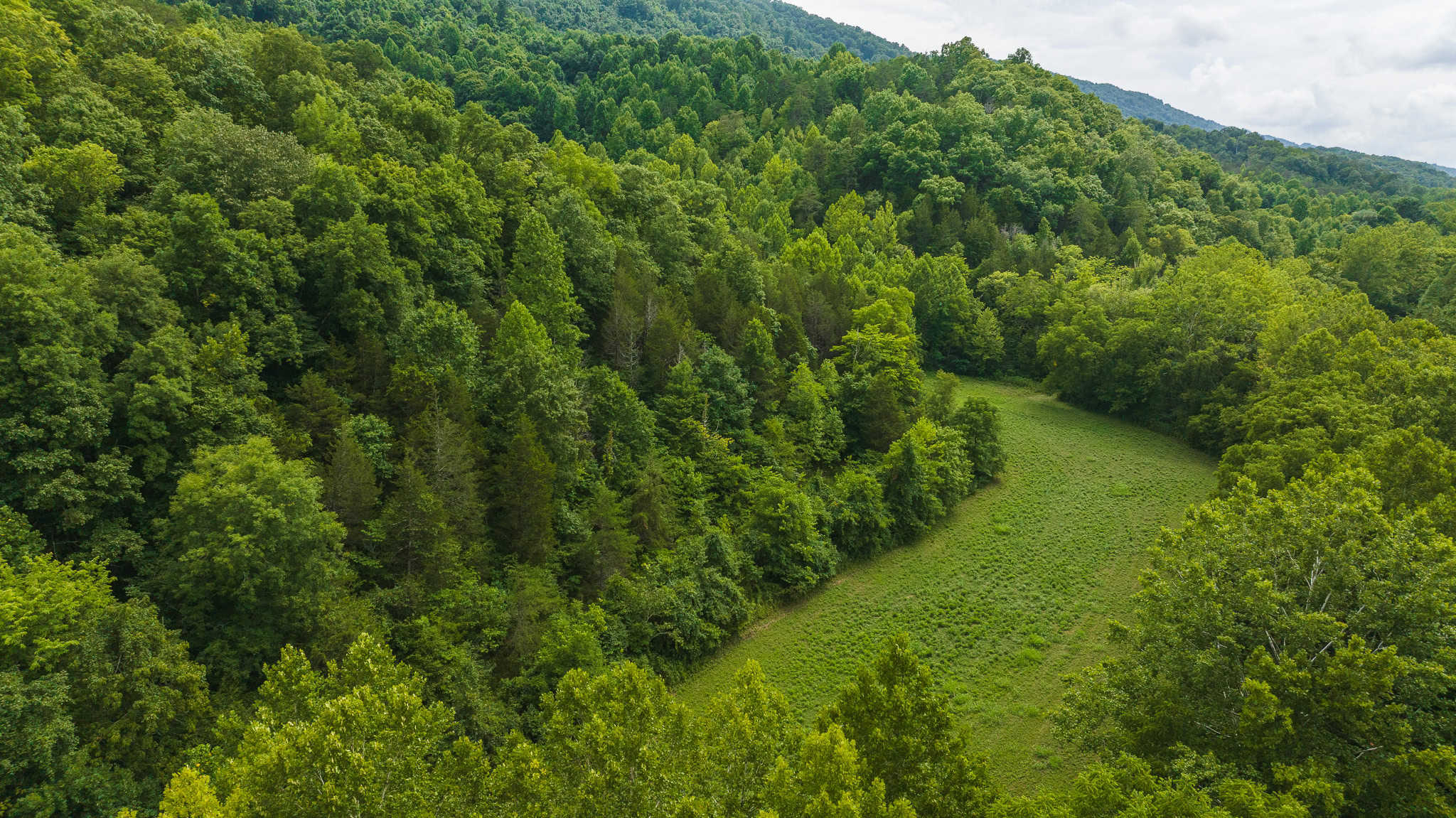 For Sale: Unrestricted Mountain Paradise in Eidson, Hawkins County, TN