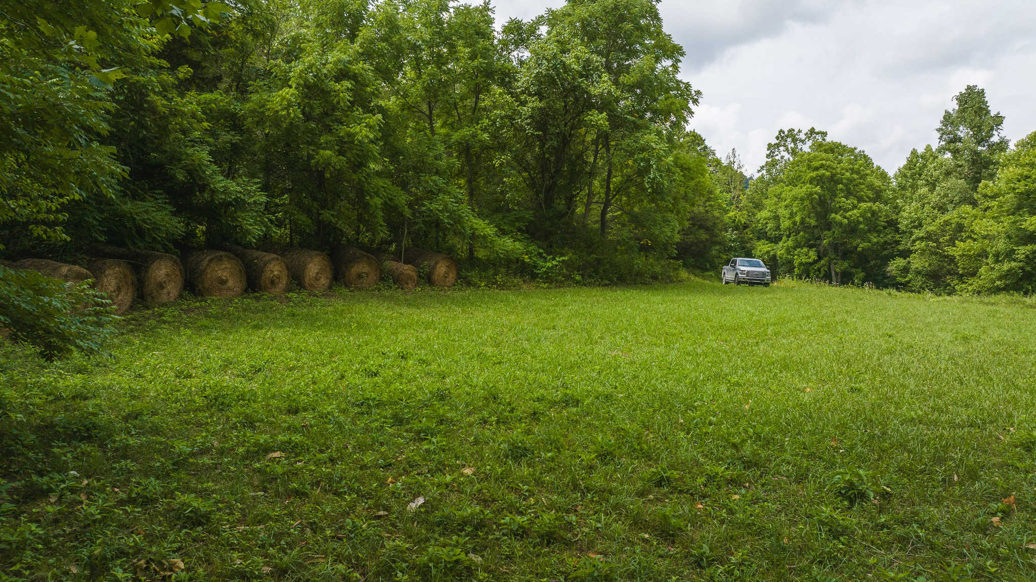 For Sale: Unrestricted Mountain Paradise in Eidson, Hawkins County, TN
