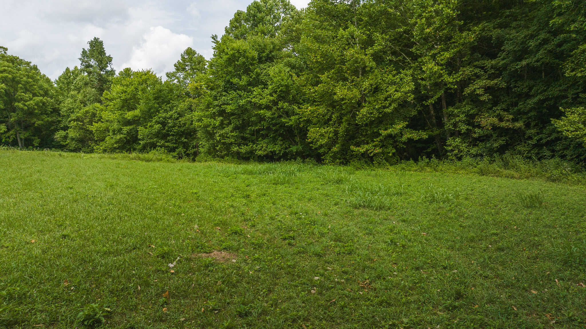 For Sale: Unrestricted Mountain Paradise in Eidson, Hawkins County, TN