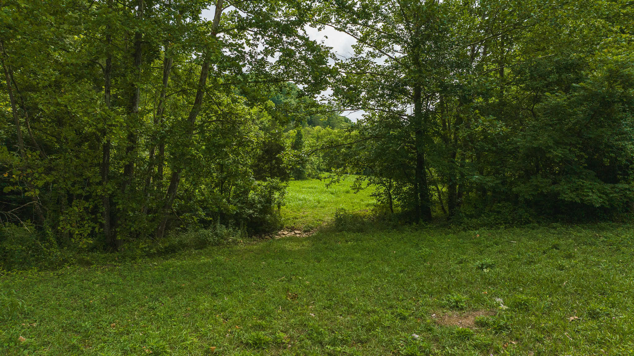 Hunting Land For Sale in East Tennessee Hawkins County