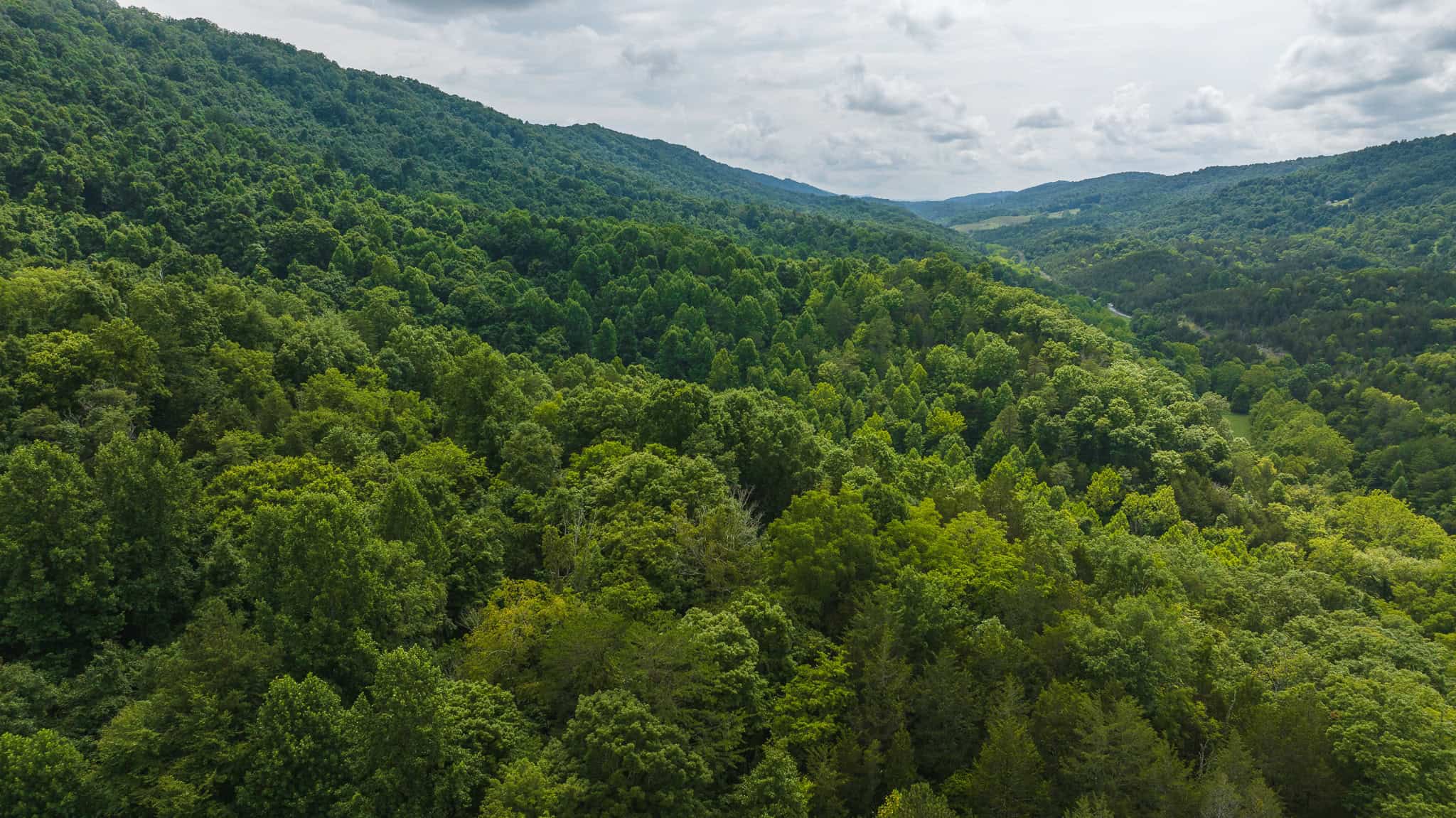 For Sale: Unrestricted Mountain Paradise in Eidson, Hawkins County, TN