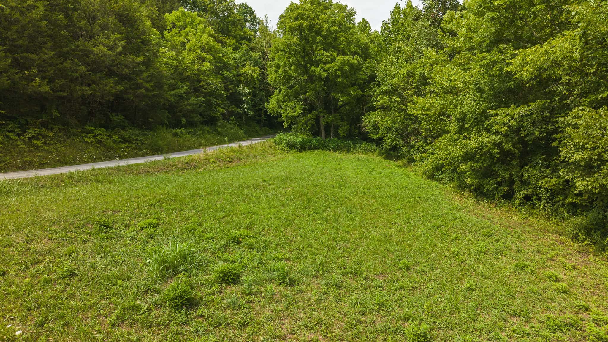 For Sale: Unrestricted Mountain Paradise in Eidson, Hawkins County, TN