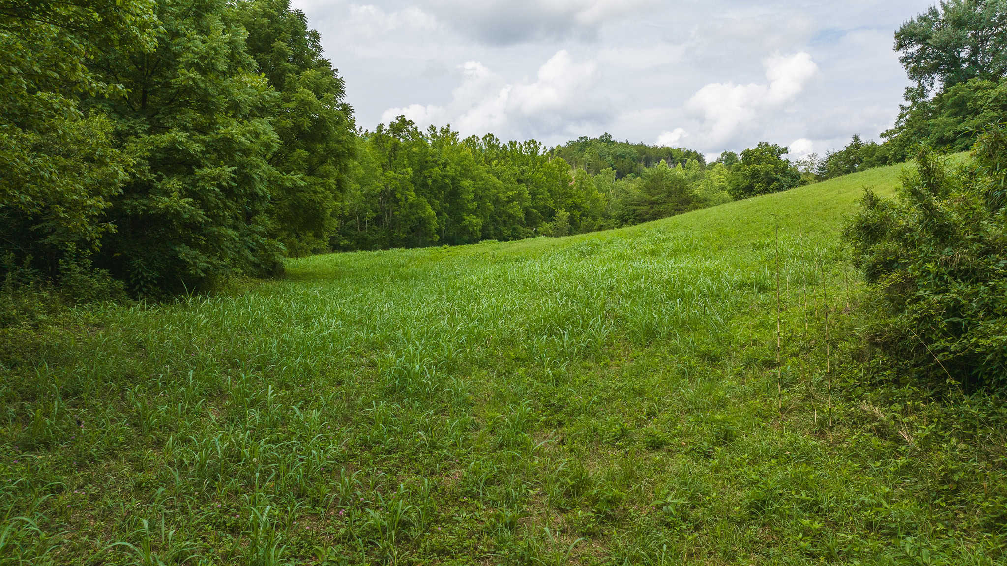 For Sale: Unrestricted Mountain Paradise in Eidson, Hawkins County, TN