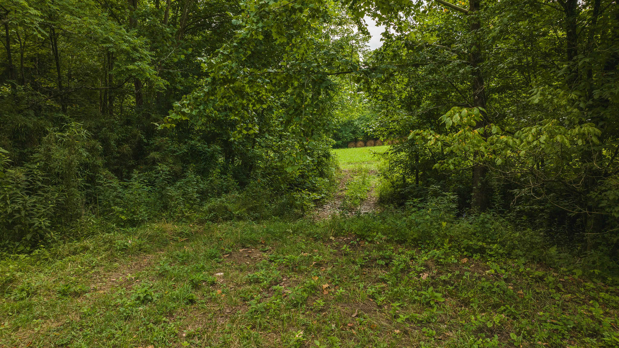 For Sale: Unrestricted Mountain Paradise in Eidson, Hawkins County, TN