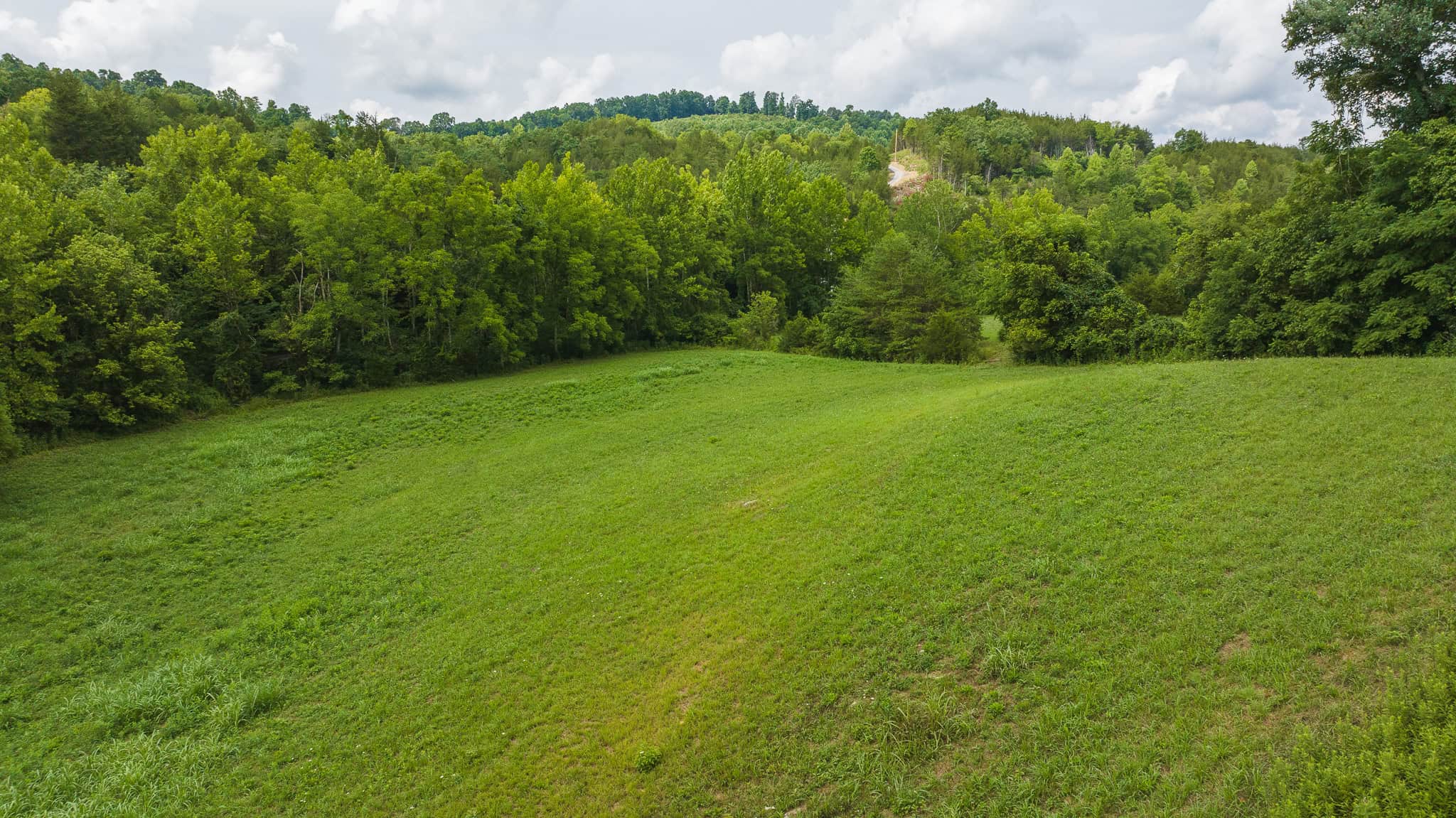 For Sale: Unrestricted Mountain Paradise in Eidson, Hawkins County, TN